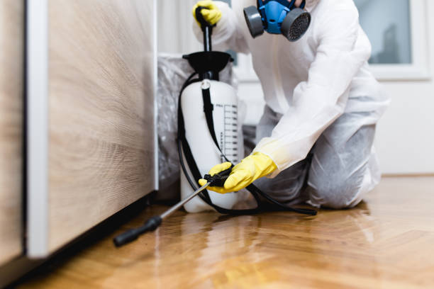 Flea Control Services in Madison Heights, VA