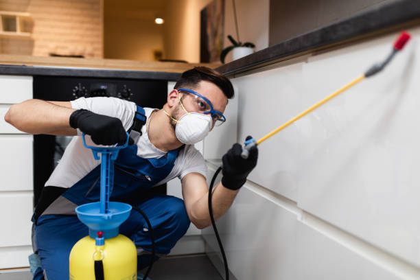 Best Pest Prevention Services  in Madison Heights, VA