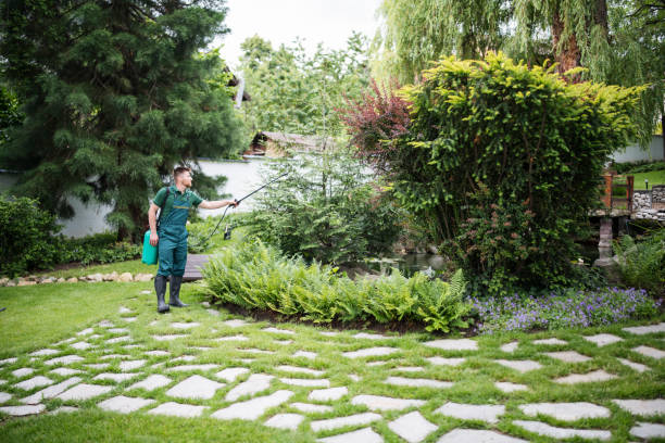 Best Pest Removal Services  in Madison Heights, VA