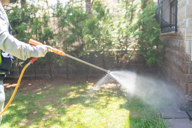 Best Local Pest Control Services  in Madison Heights, VA