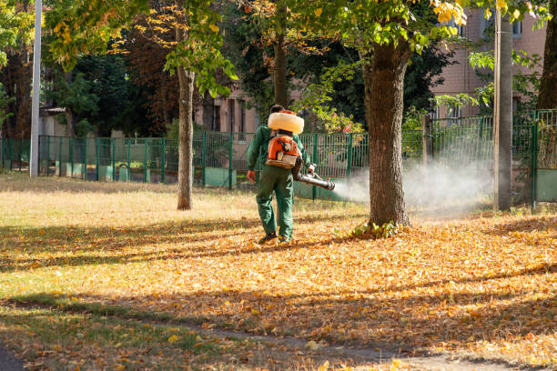 Best Ant Control Services  in Madison Heights, VA