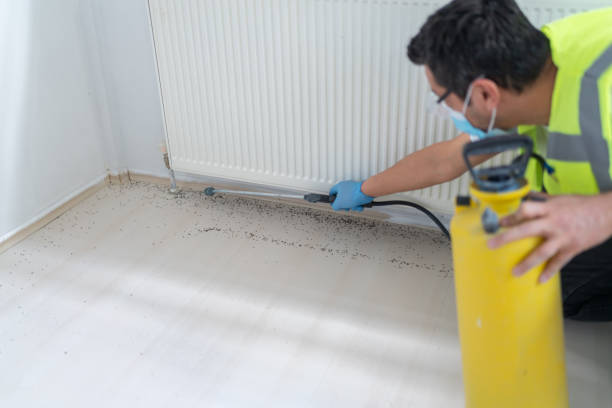 Best Pest Removal Services  in Madison Heights, VA